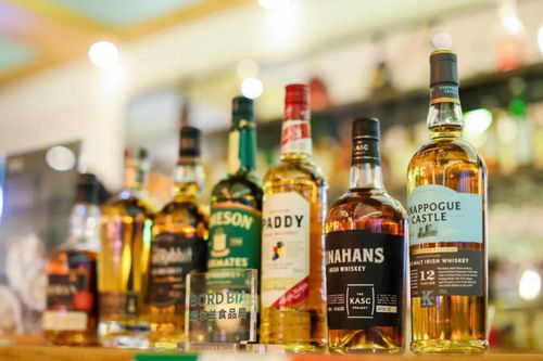 收,來自遠(yuǎn)方翡翠綠島的海鮮投喂