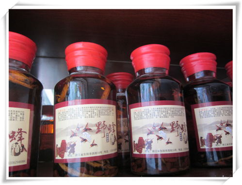 蘭溪嘉行養生酒 精品酒類批發優選，輔仁路優質供應商